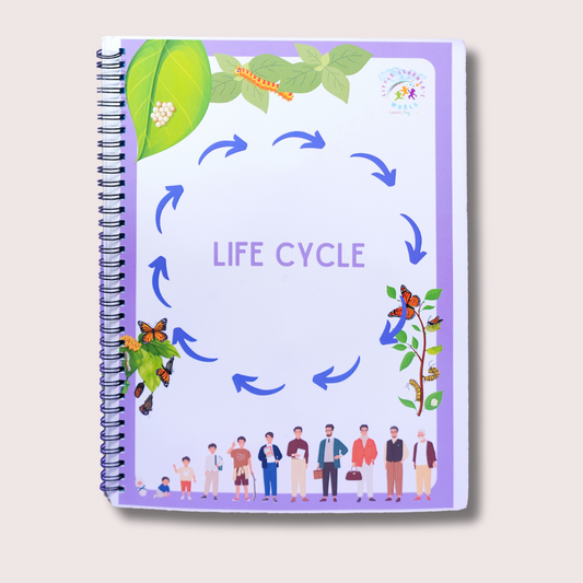 Life cycle - Little Learners World