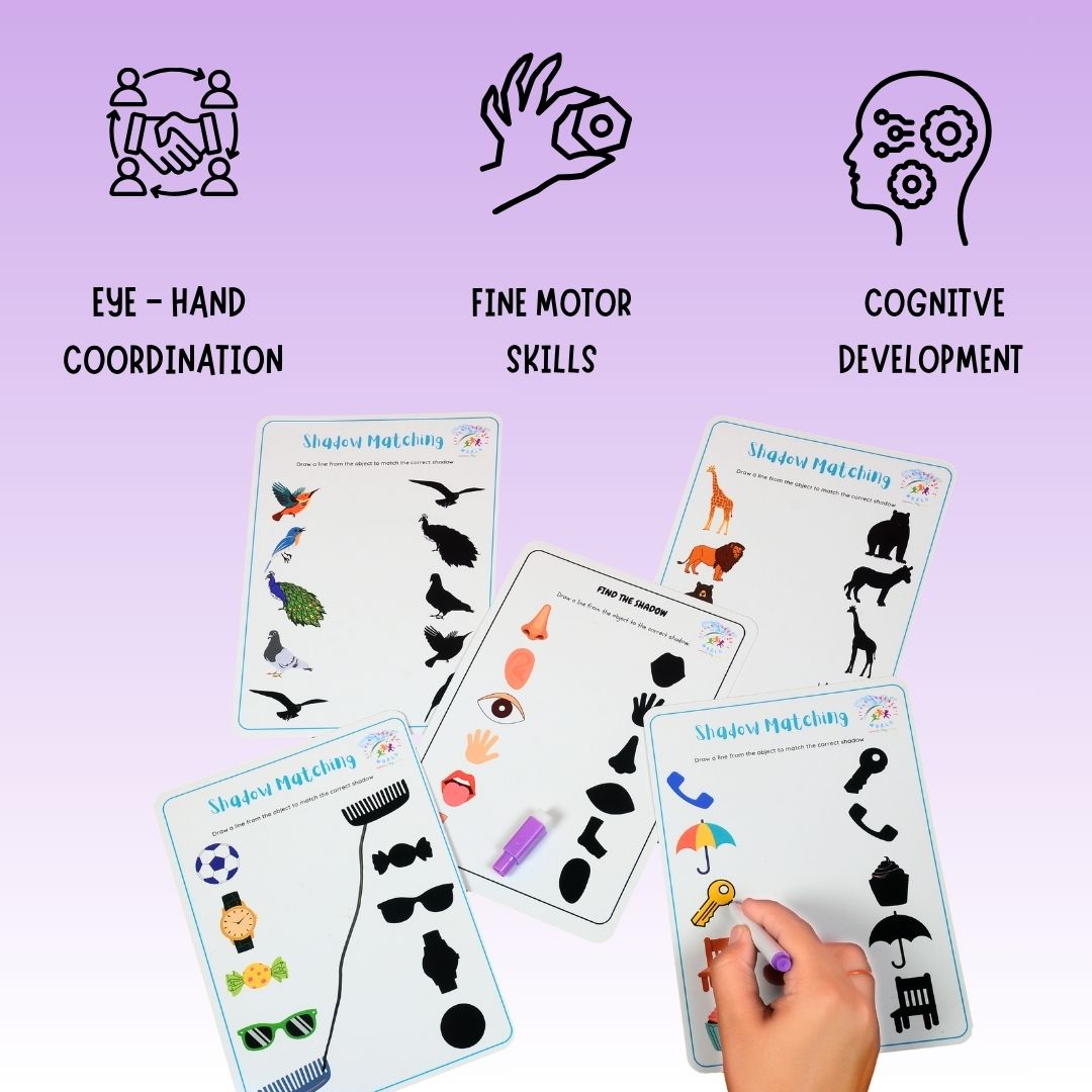 Reusable Shadow Matching Worksheet - Little Learners World