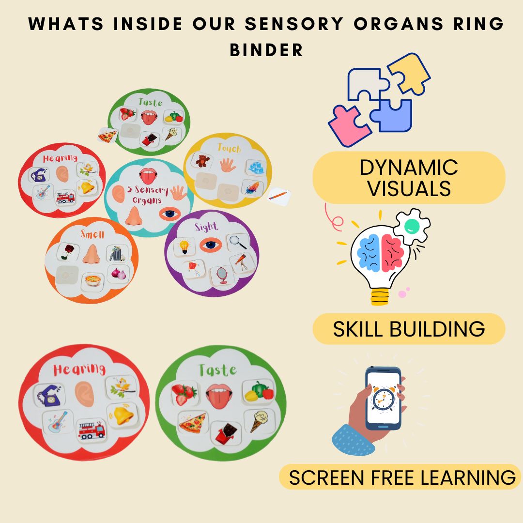Sensory Organs Ring Binder - Little Learners World